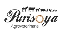 purisoya